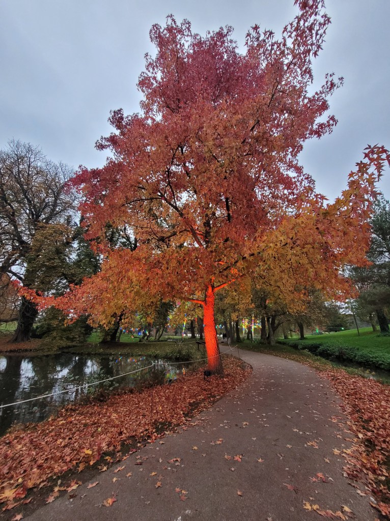 How our career changes are really career&nbsp;additions